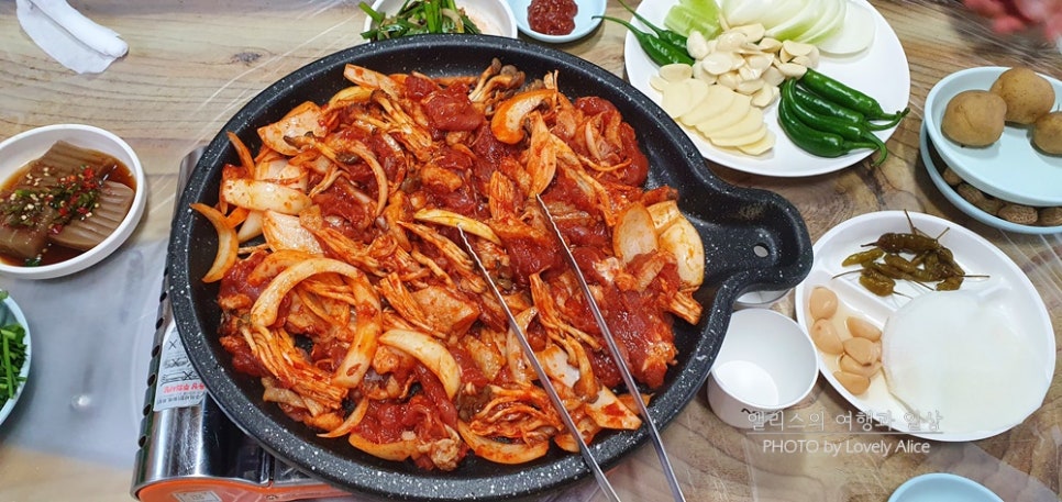 둥지청둥오리 사진 5
