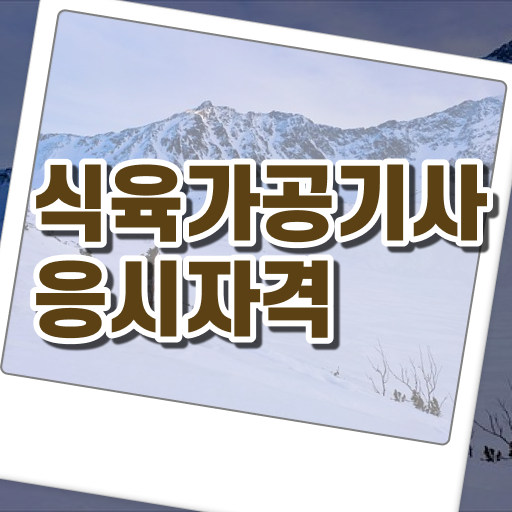  식육가공기사 시험자격 학점은행제로 쉽고 빠르게 성공한 후기