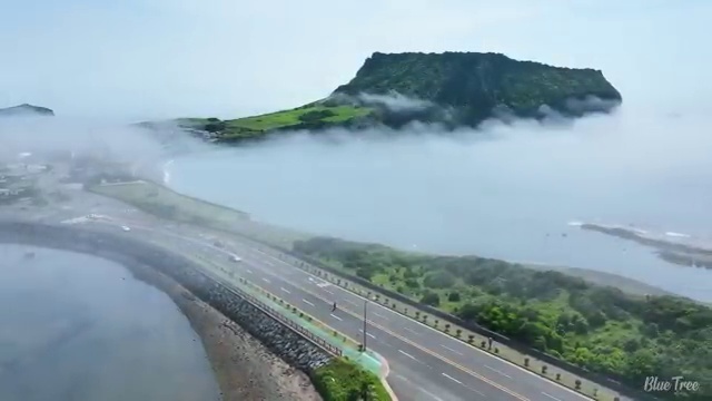 철원 4년제 사회복지학과 사회복지사2급 직장인도 온라인으로 간편하게