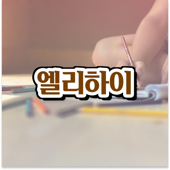  초등 5학년 엘리하이 가격 차근차근해보아요