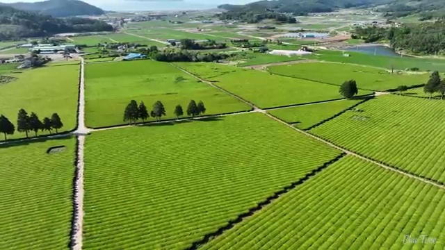  수산물품질관리원 자격증 , 빠르게 완료한 전략