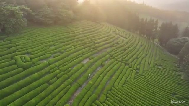  상가리모델링 생각중이라면 , 전문디자이너 가 업체 별로 비교해 드립니다. (무료 서비스)