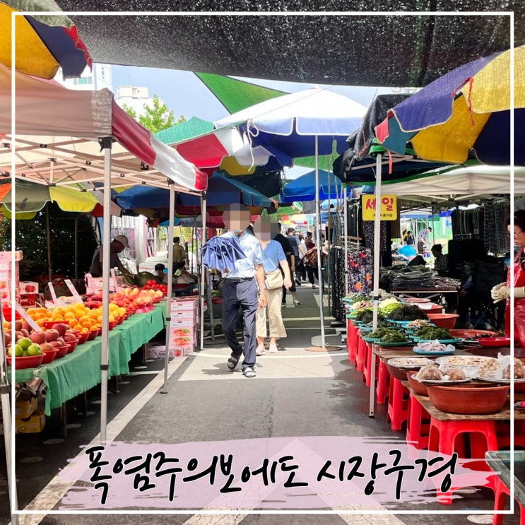  폭염주의보와 함께한 함안 오일장