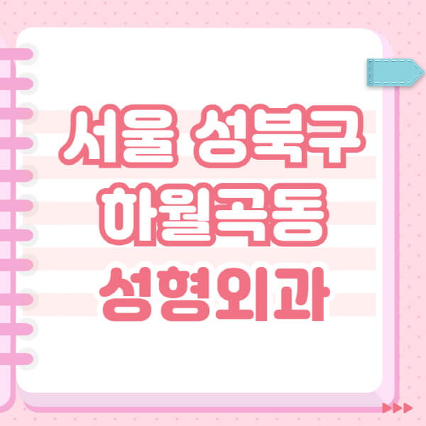  서울 성북구 하월곡동 성형외과 유명한 잘하는 곳 추천과 블랙리스트 안내