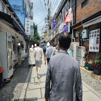  '광화문'에 있는 순수 자연산 세꼬시 막회 전문점 '강구 미주구리'
