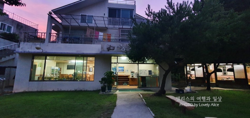 둥지청둥오리 사진 2