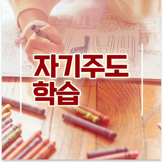  11세 엘리하이로 가격 후기