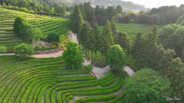  수산물품질관리원 자격증 , 초단기 준비한 비법
