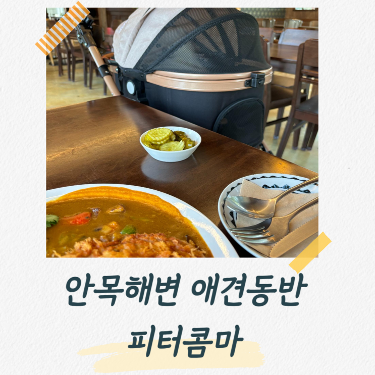  강릉 안목해변 애견동반 식당, 음식이 다양한 피터콤마