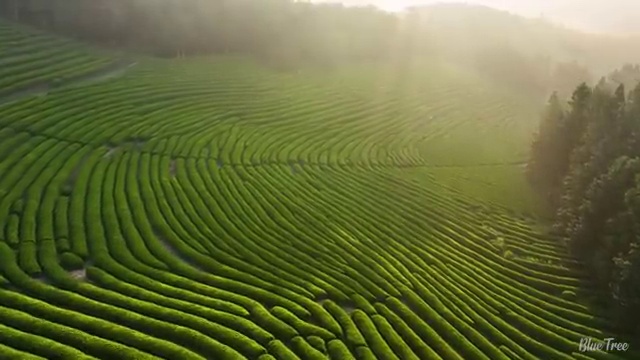  중랑구 면목2동 부산 싱크대막힘 100% 성공 보장 팁