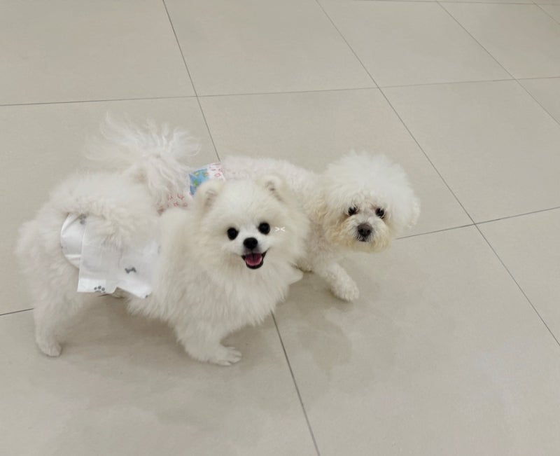 사진 3