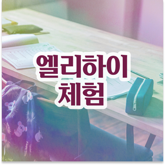  초등 2학년 엘리하이 초등 등 후기