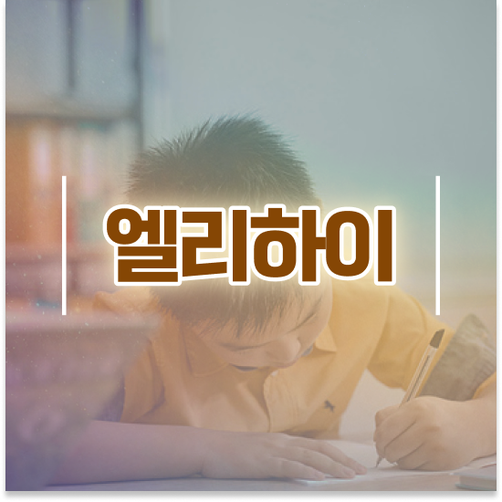  10세 초등학교 학습지 엘리하이로 최저가 정보