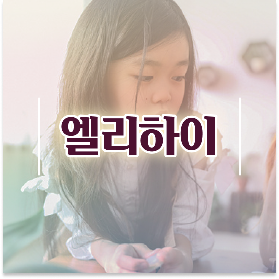  초등 6학년 학습지 가격 엘리하이로 대비해요