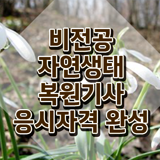  자연생태복원기사 응시조건 온라인 수업으로 5개월 만에 완료한 팁