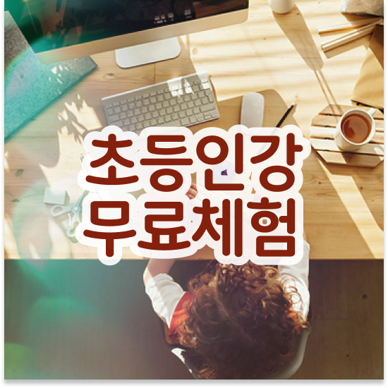 8세 엘리 하이교재가격 공부 습관 만들기