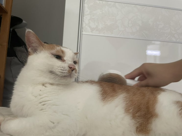  루비는 굉장히 귀여움..