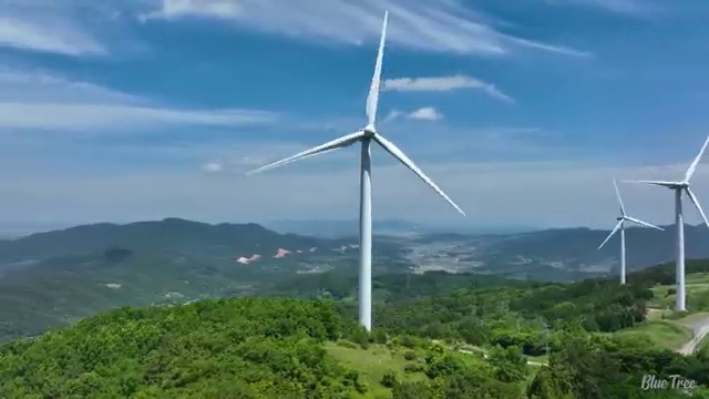  12세 초등영어홈스쿨링 엘리하이로