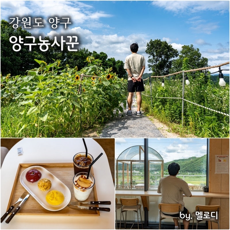 사진 4