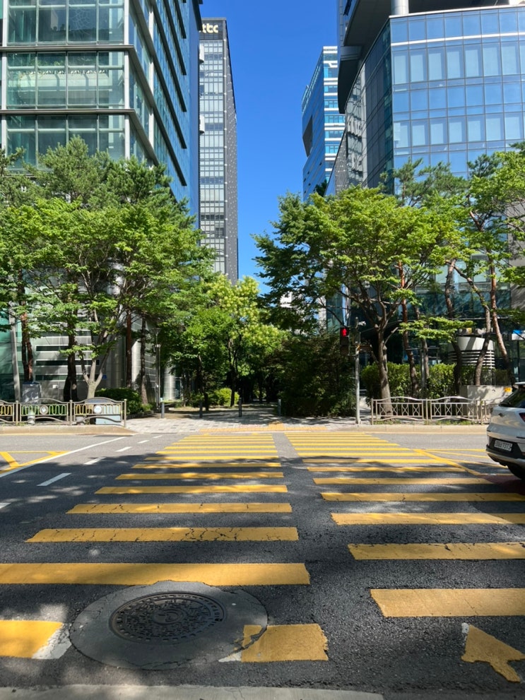  24년 7월 셋째주, 임신 26주차