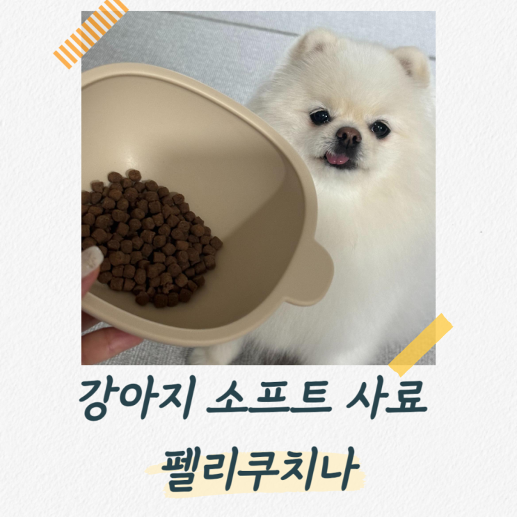  강아지 소프트 사료 추천, 건강하게 체중관리하기 좋은 펠리쿠치나