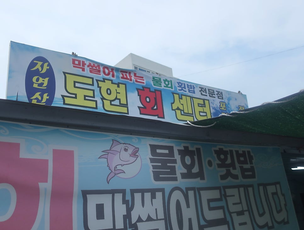 Dohyeonhoesenta photo 2