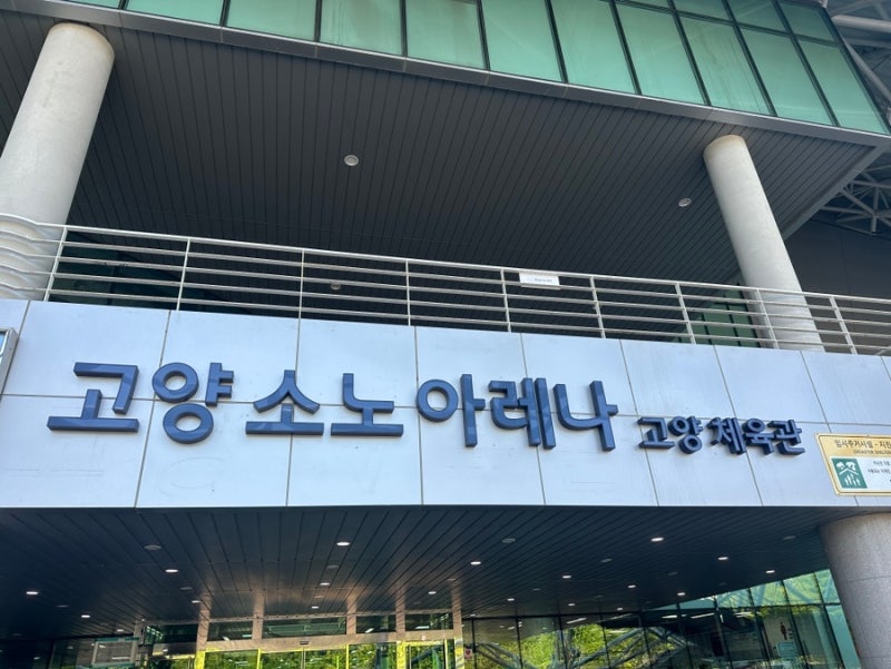 일산 고양체육관 주말 자유수영 / 주차, 가격, 시설, 고양시 수영장