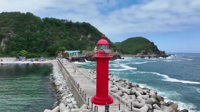  초등 4학년 엘리하이로