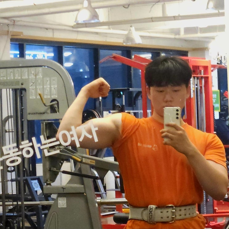 머슬핏 상체 티셔츠 팔뚝 240720 이두 삼두 팔 운동 머슬핏 상체 티셔츠 팔뚝 240720 이두 삼두 팔 운동