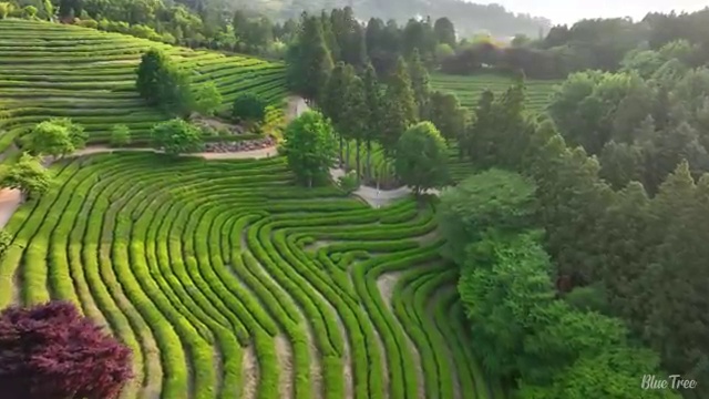  상가리모델링 빠르게 견적받는 비법 , 라티크 가 알려드립니다. (무료 서비스)