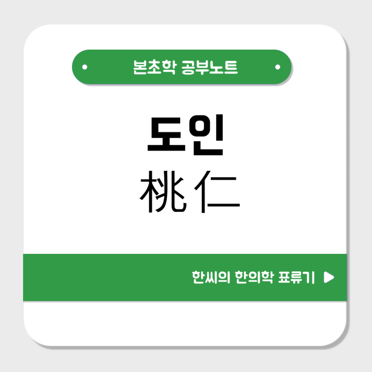 도인(桃仁)의 효능과 주치를 파헤쳐보자