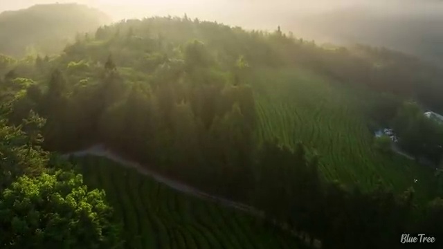  산림기사 하층식생 산림기사 시험자격 학점은행제로 쉽고 빠르게 준비한 후기