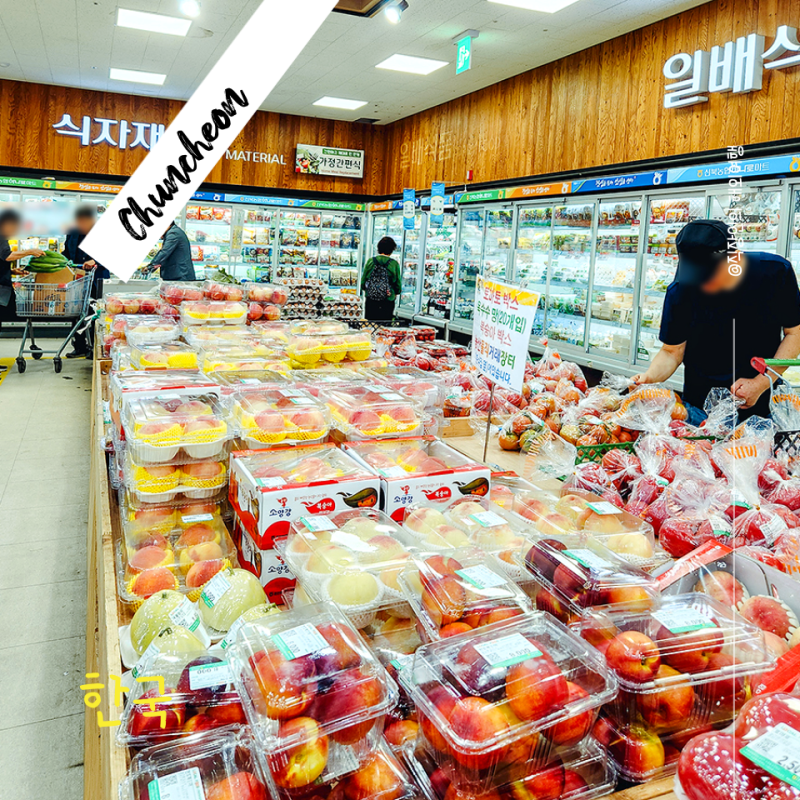 춘천 대형 마트 신북농협 로컬푸드직매장 토마토 복숭아 가격
