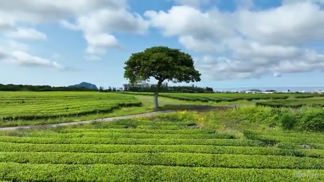 중구 광희동 세면대막힘비용 bye bye!
