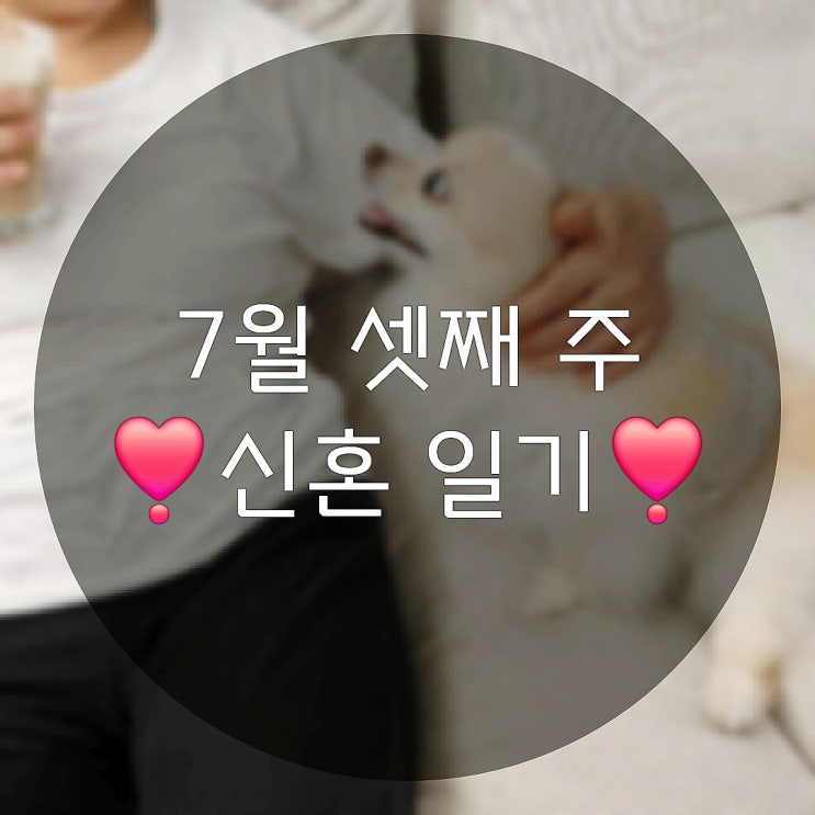  7월 셋째 주의 일상기록(ft.오돼지국밥 회식이 잦은 남편씨)