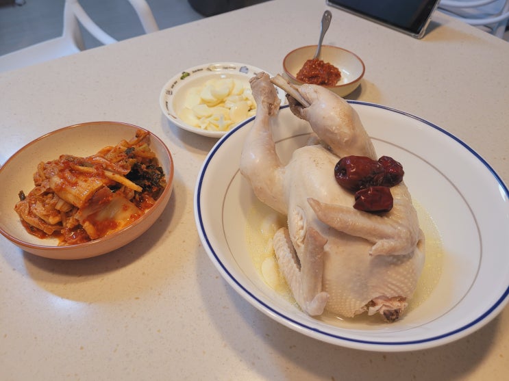  이번주 포토덤프
