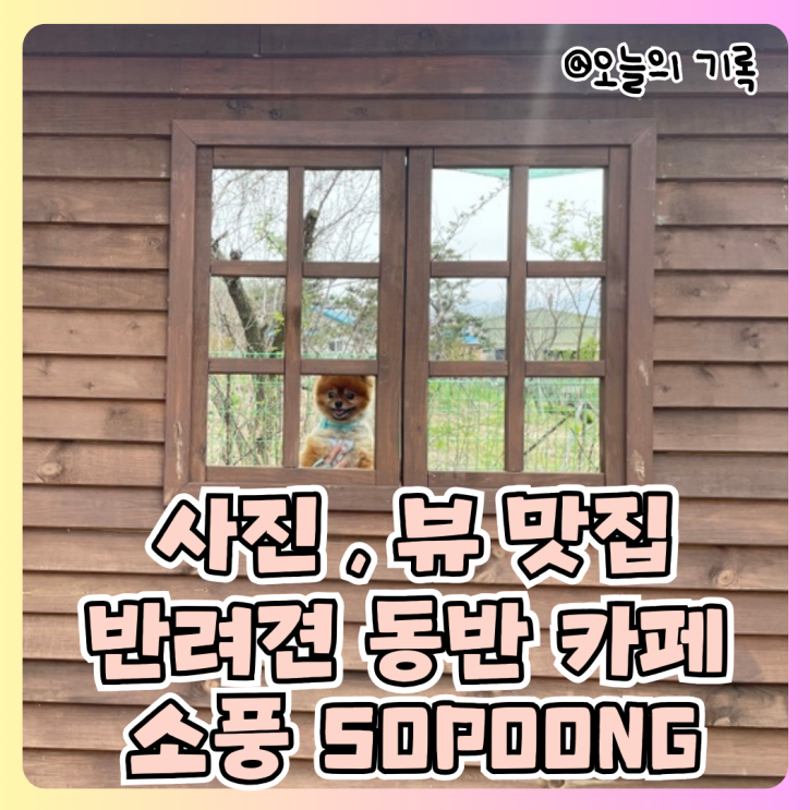  [양평, 두물머리] 반려견 동반 대형 카페, 소풍