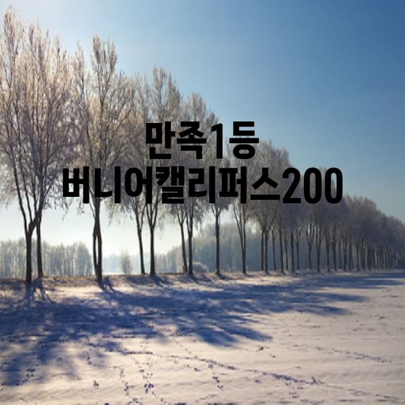 버니어캘리퍼스 200mm 가이드 5가지 인기 모델 비교 분석 및 장단점 비교