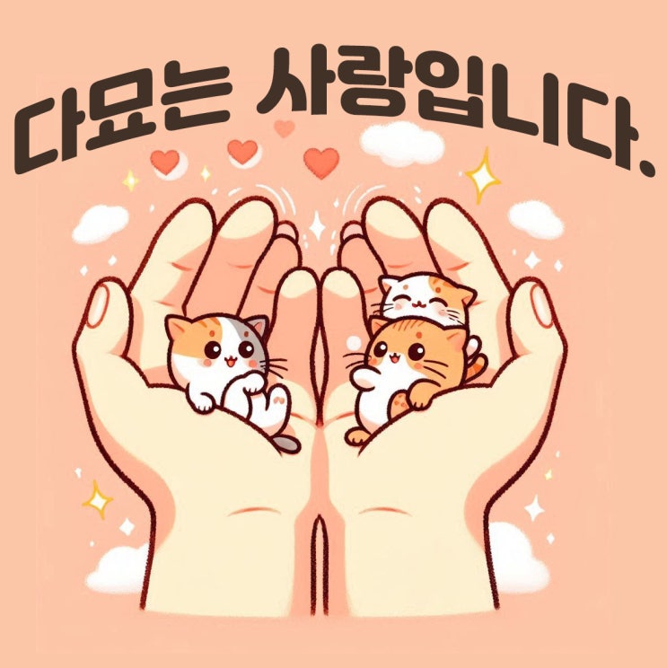  다묘가 좋은 이유 동반입양 추천합니다.