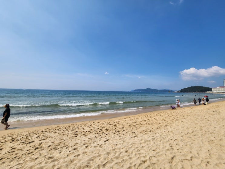 청사포 파노라마 오션뷰  중동 해운대힐스테이트위브 오디오갤러리 신세계 부산점 하이엔드 오디오 하나로 진정한 힐링이 되는 일상 추천