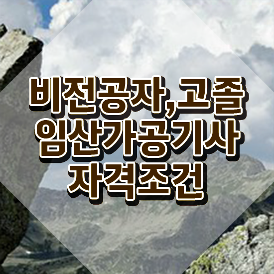  임산가공기사 시험자격 인강만 듣고 15주만에 성공한 비법