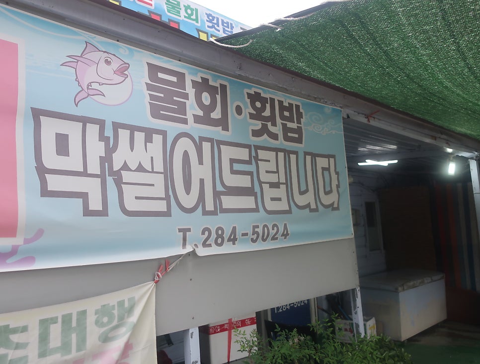 Dohyeonhoesenta photo 3