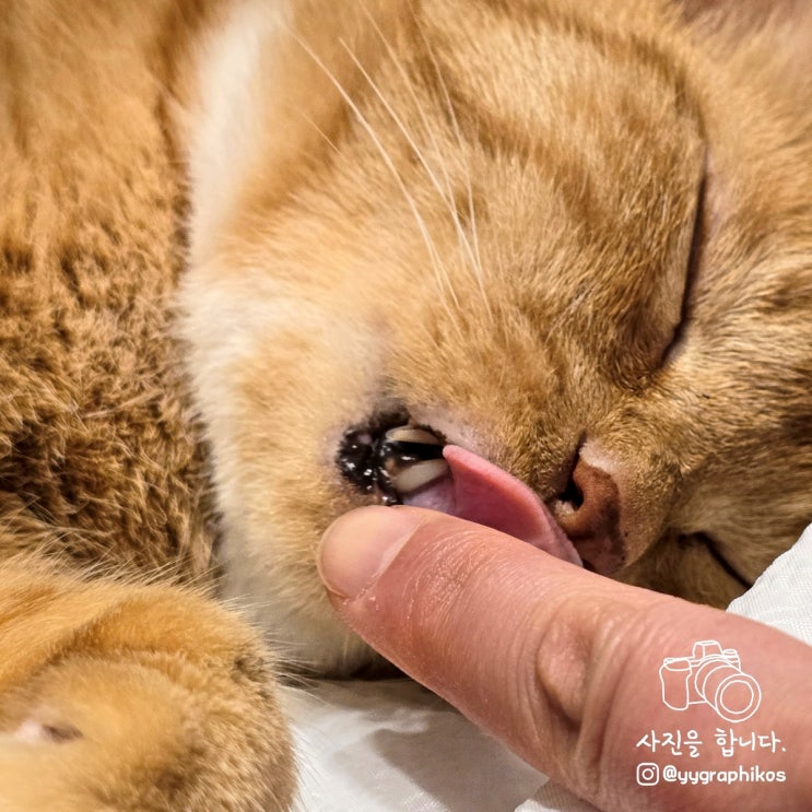  4주차 : 먹고 마시고 사랑하라?