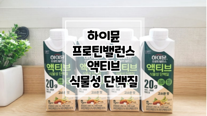  아침대용으로 좋은 식물성 단백질 식단 하이뮨 프로틴 밸런스 액티브 추천해요