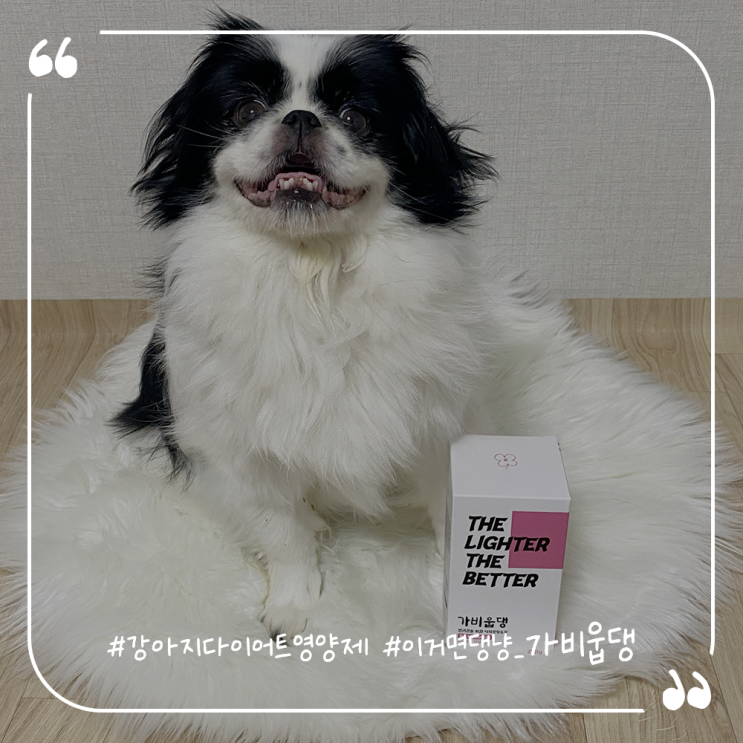  강아지저칼로리간식 강아지다이어트영양제 이거면댕냥 가비웁댕