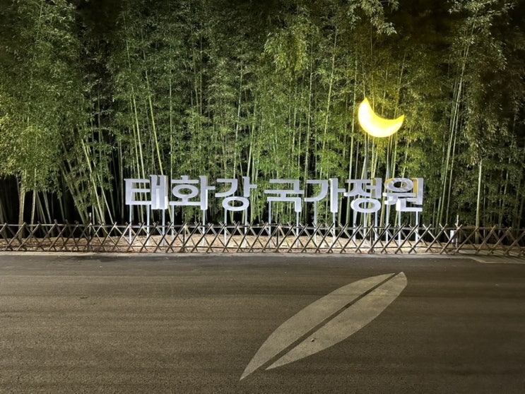  태화강국가정원 야경 후기