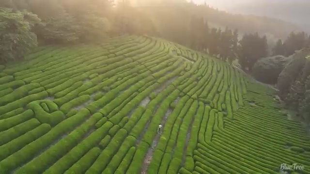  렌트 , 저렴한 비용으로 비용 산출 하기