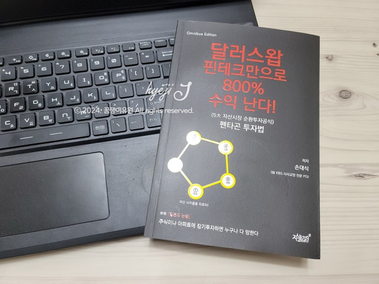  투자의 새로운 시각 '달러스왑 핀테크만으로 800% 수익 난다' 책 서평