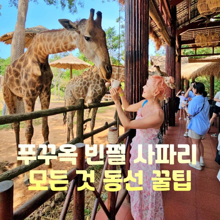  푸꾸옥 빈펄 사파리 입장권 트램 지도 꿀팁 동선
