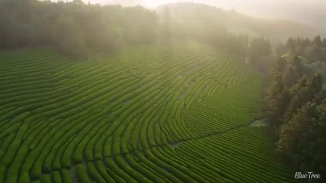  종로구 종로2가 변기막힘역류 bye bye!